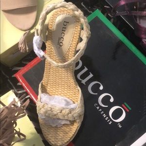 Bucco capensis